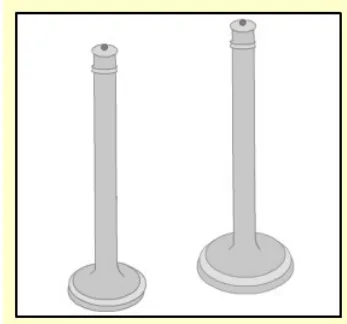 Inlet and exhaust valves side by side, showing the larger inlet valve and the smaller exhaust valve