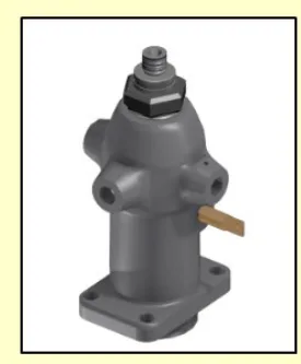 Push rod with its mushroom-shaped cam follower