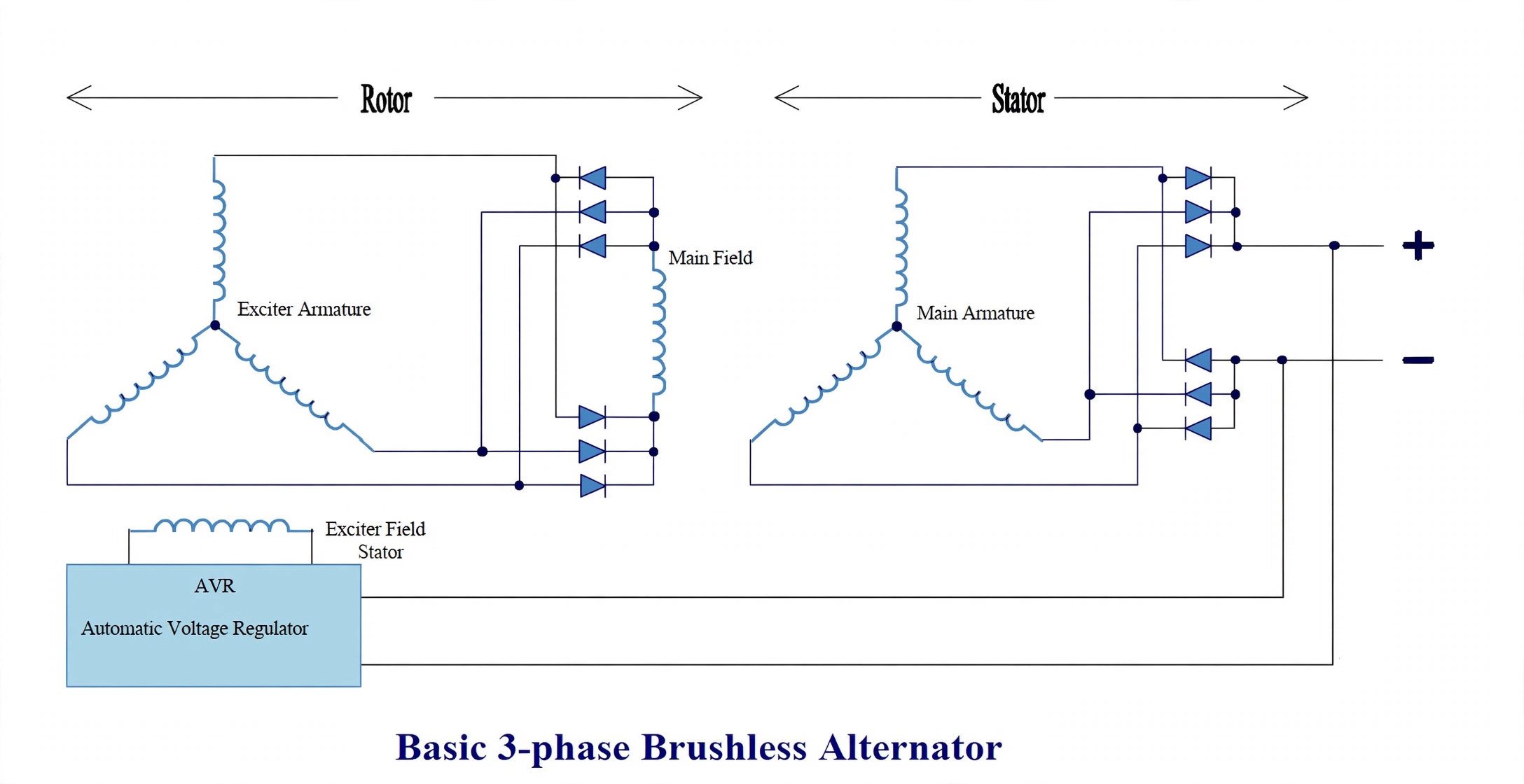 Three-phase brushless alternator schematic with exciter, rotating rectifier, main field and AVR