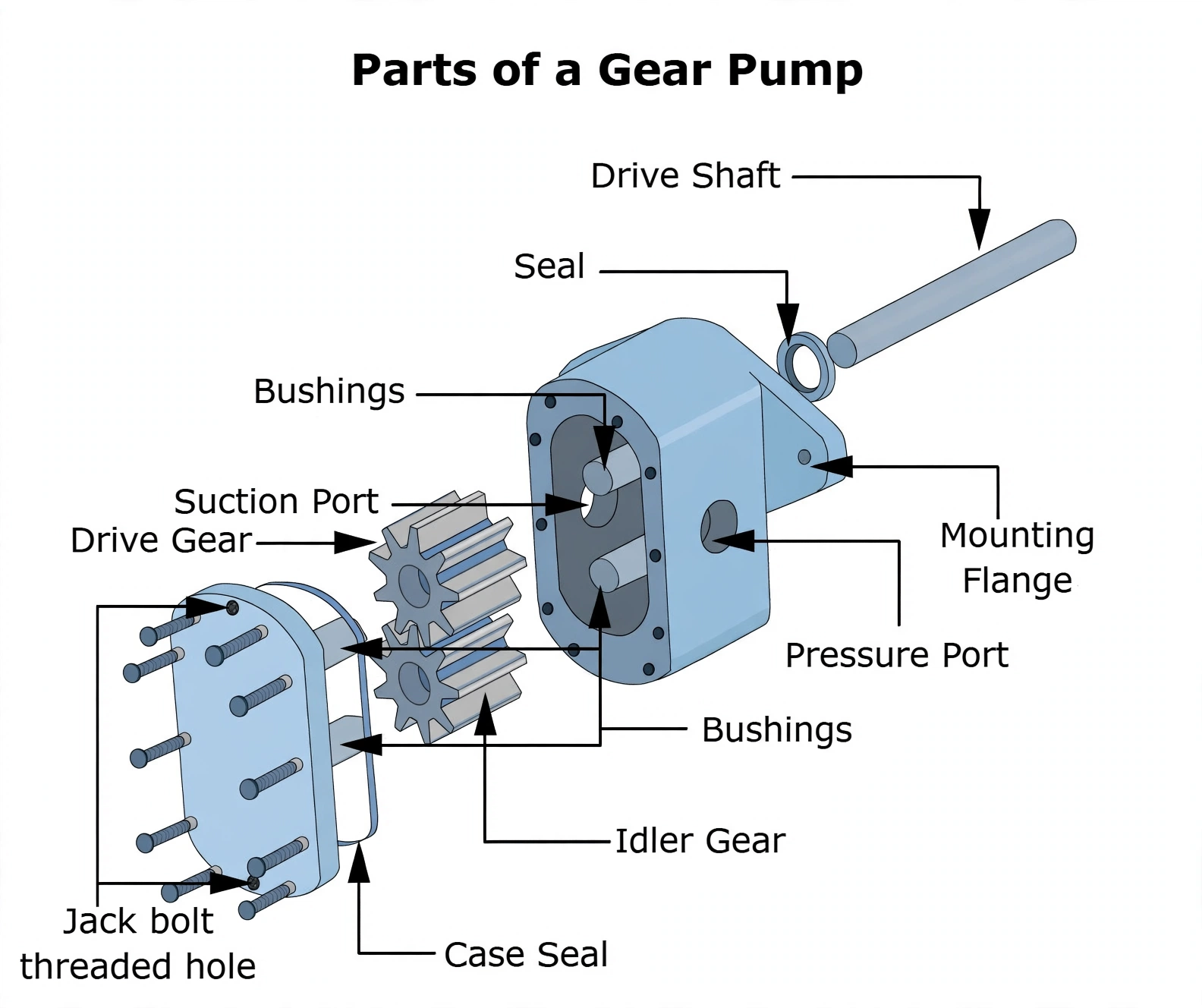Exploded gear pump showing drive and idler gears, bushings, seal, ports and jack-bolt holes