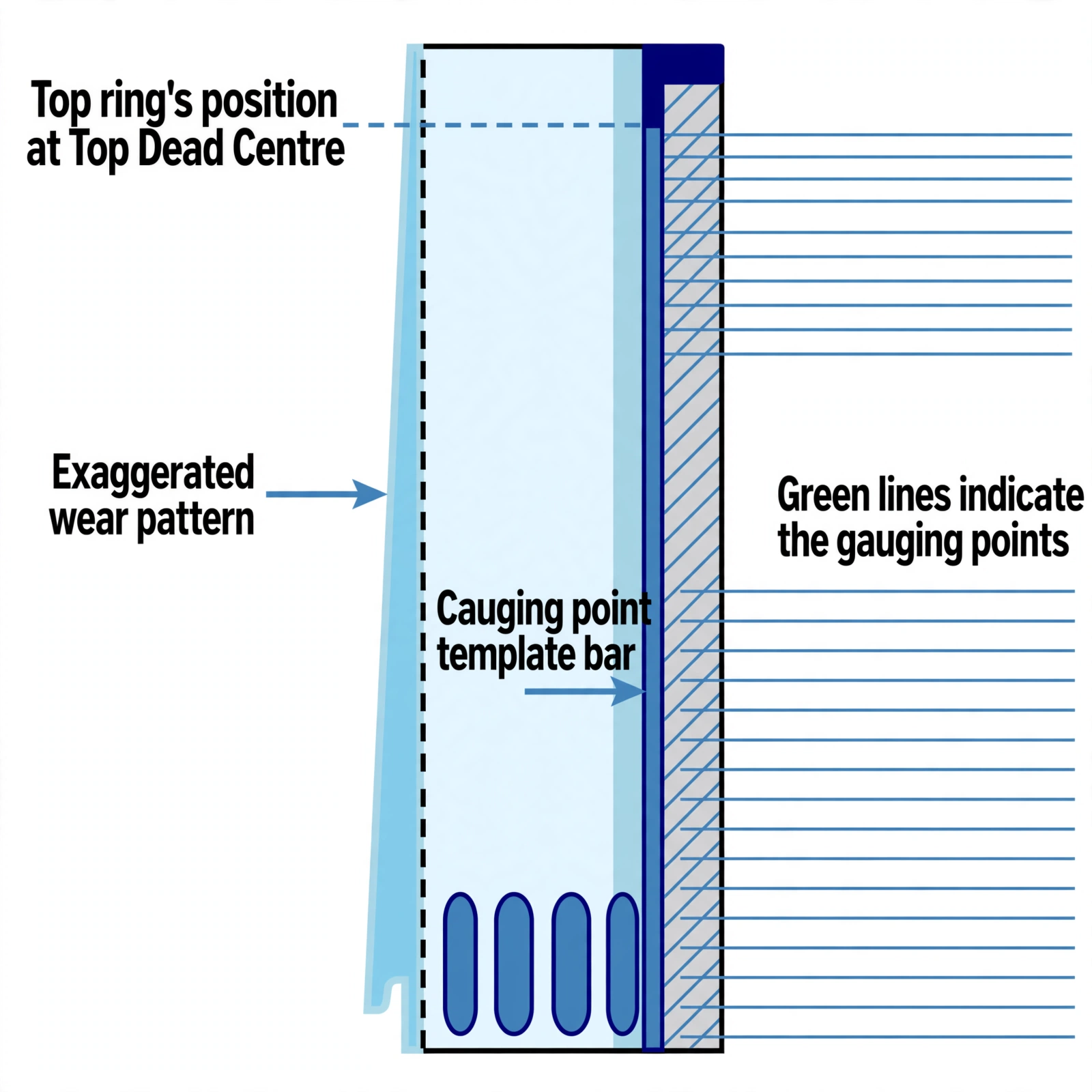 Liner gauging template bar with fixed measuring points and exaggerated top-third wear pattern
