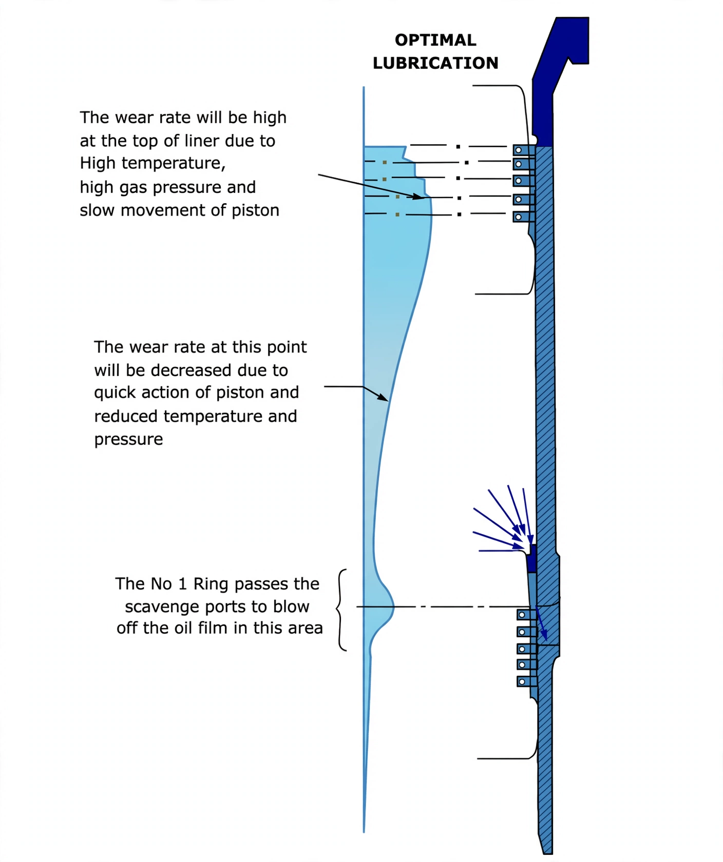 Liner wear profile showing peak wear at top ring position and oil film wiped at scavenge ports