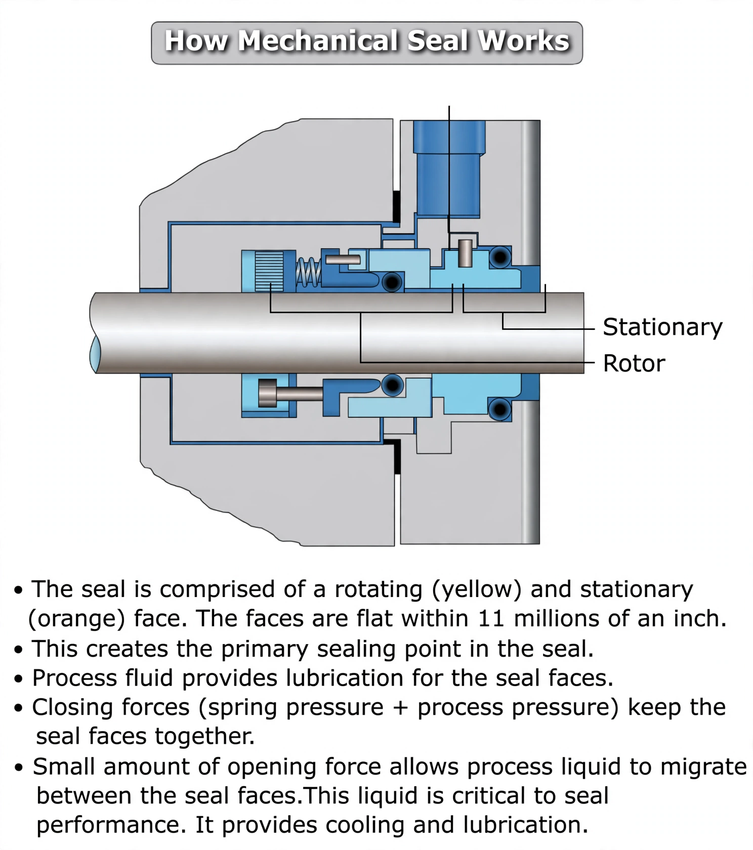 Cross-section showing how a mechanical seal works: rotating and stationary faces, spring and process pressure