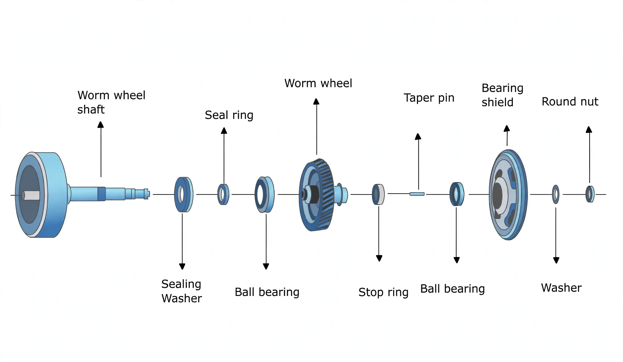 Exploded horizontal shaft: worm wheel shaft, seal rings, bearings, worm wheel, taper pin and round nut