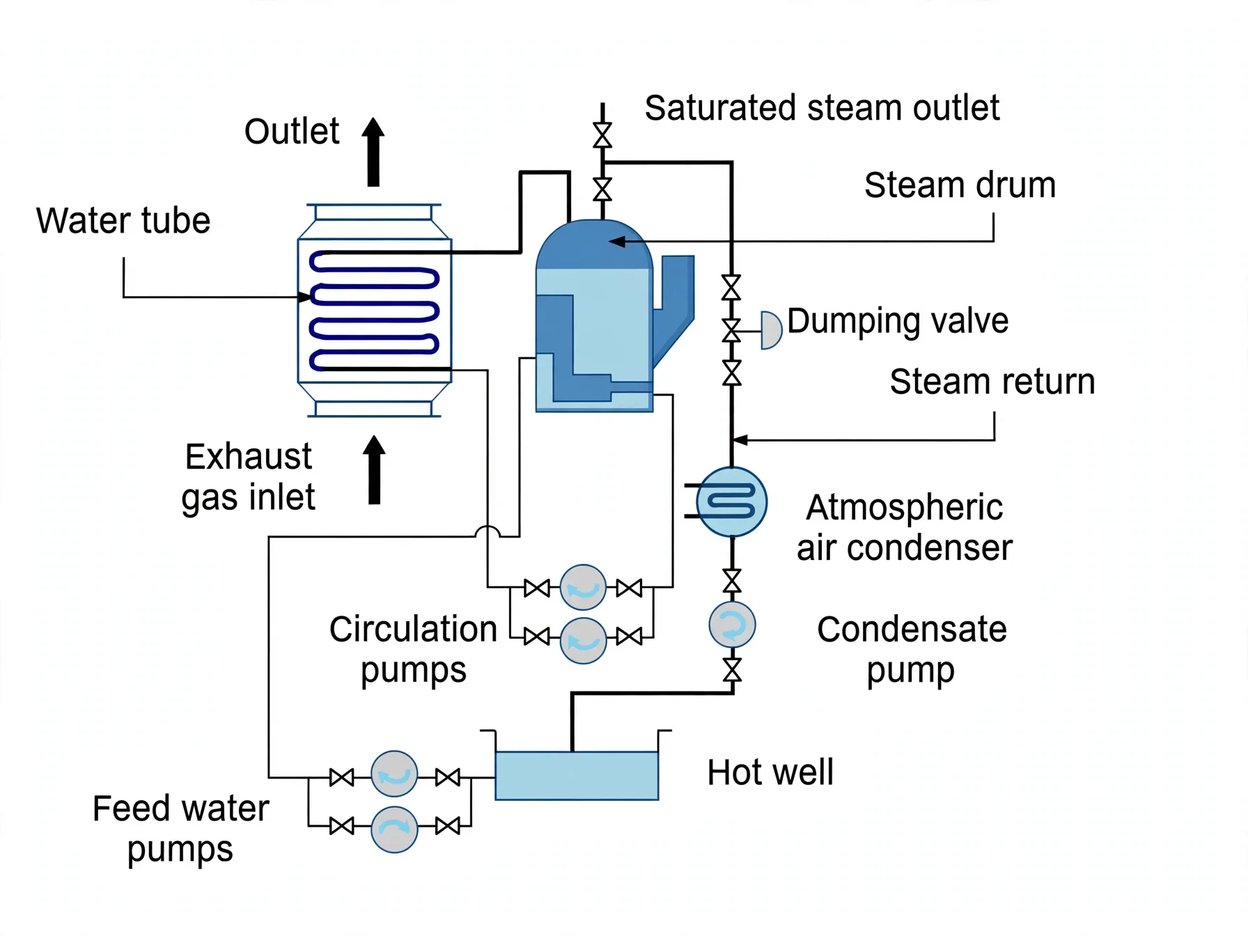 Exhaust gas economiser circuit with circulation pumps, steam drum and condensate return