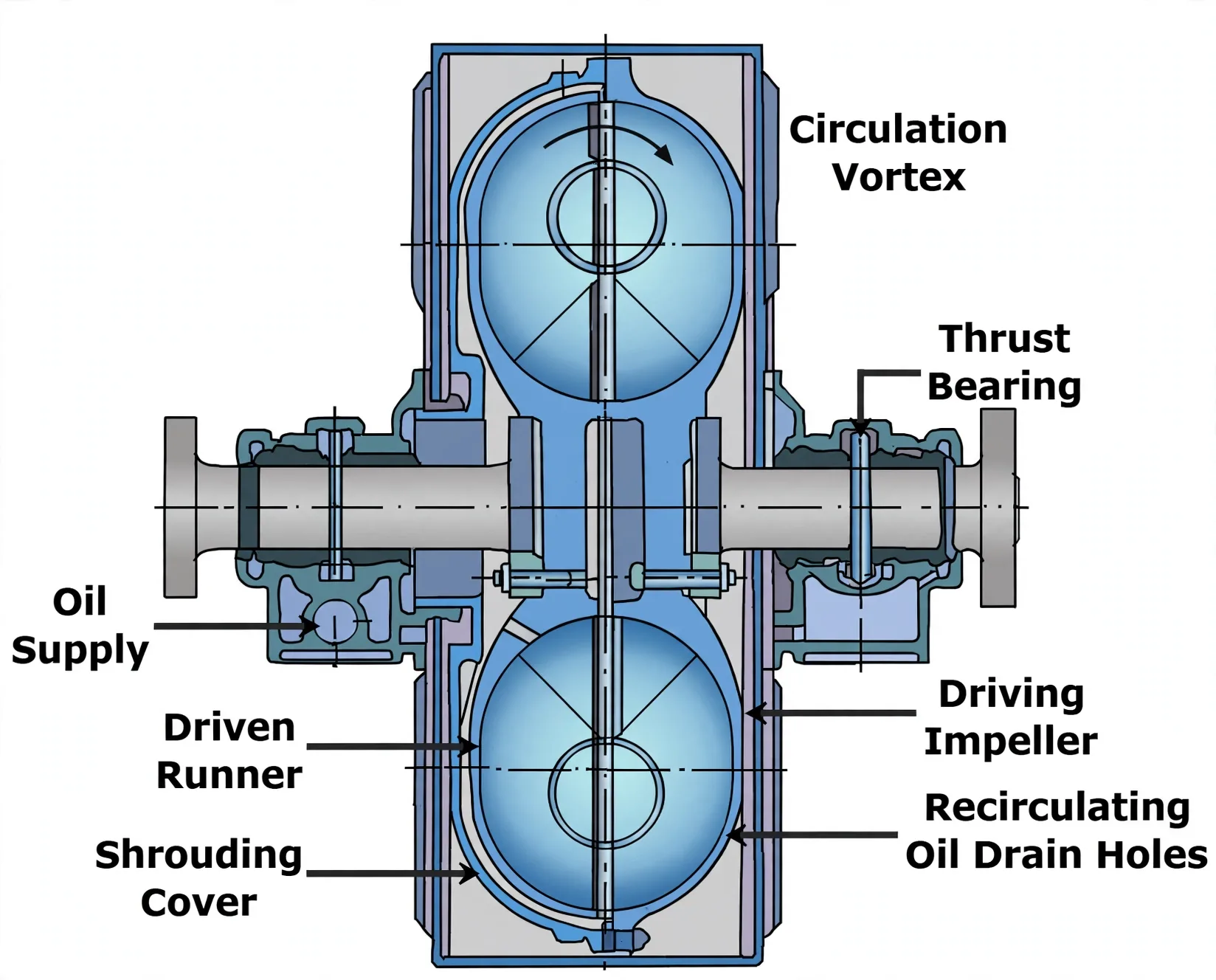 Hydraulic coupling with impeller, runner, thrust bearings and oil circulation