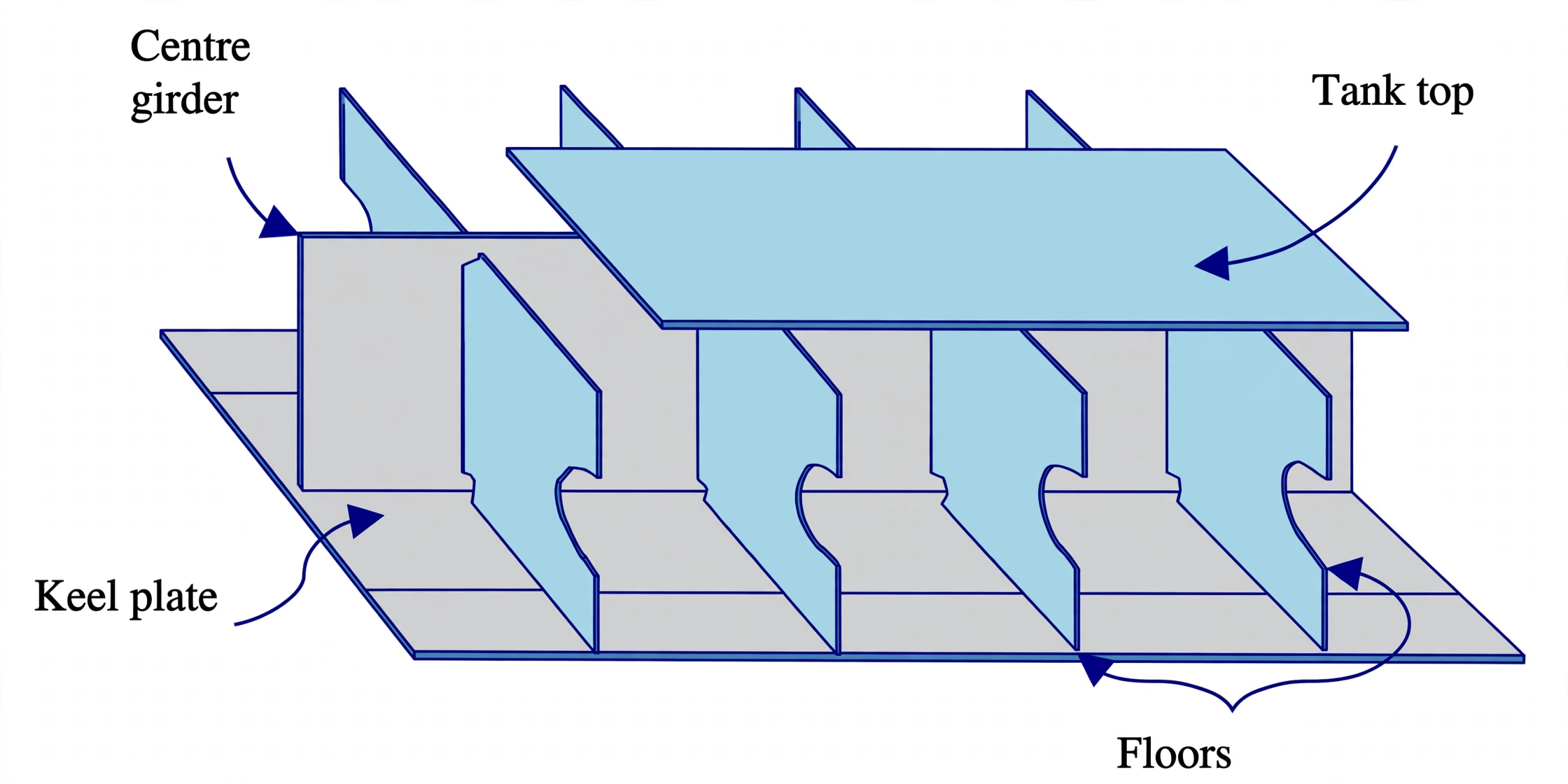 Isometric view of double bottom floors, center girder and side girders