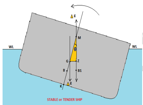 Upright equilibrium — weight and buoyancy on the same vertical