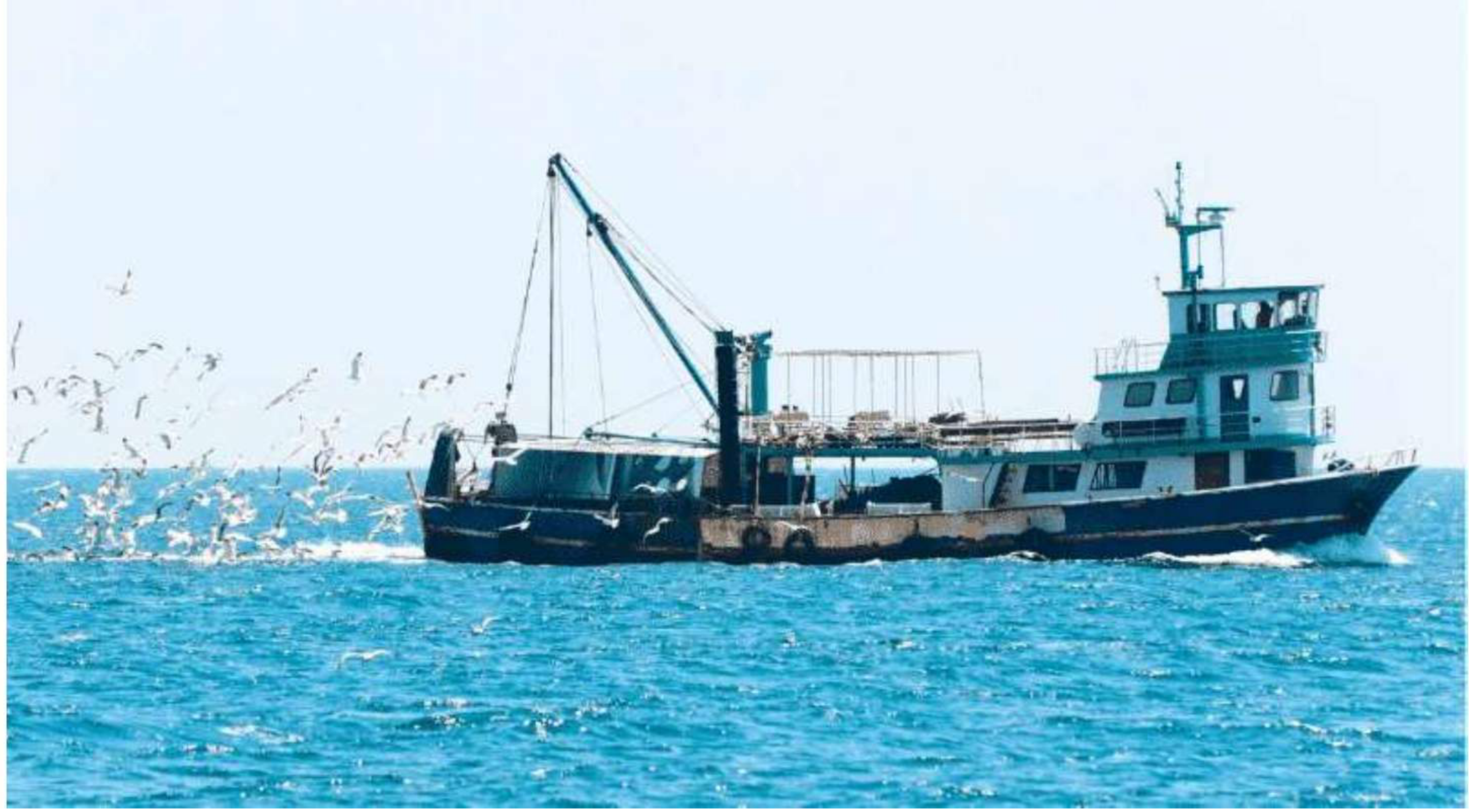 Fishing vessel working, with seabirds following