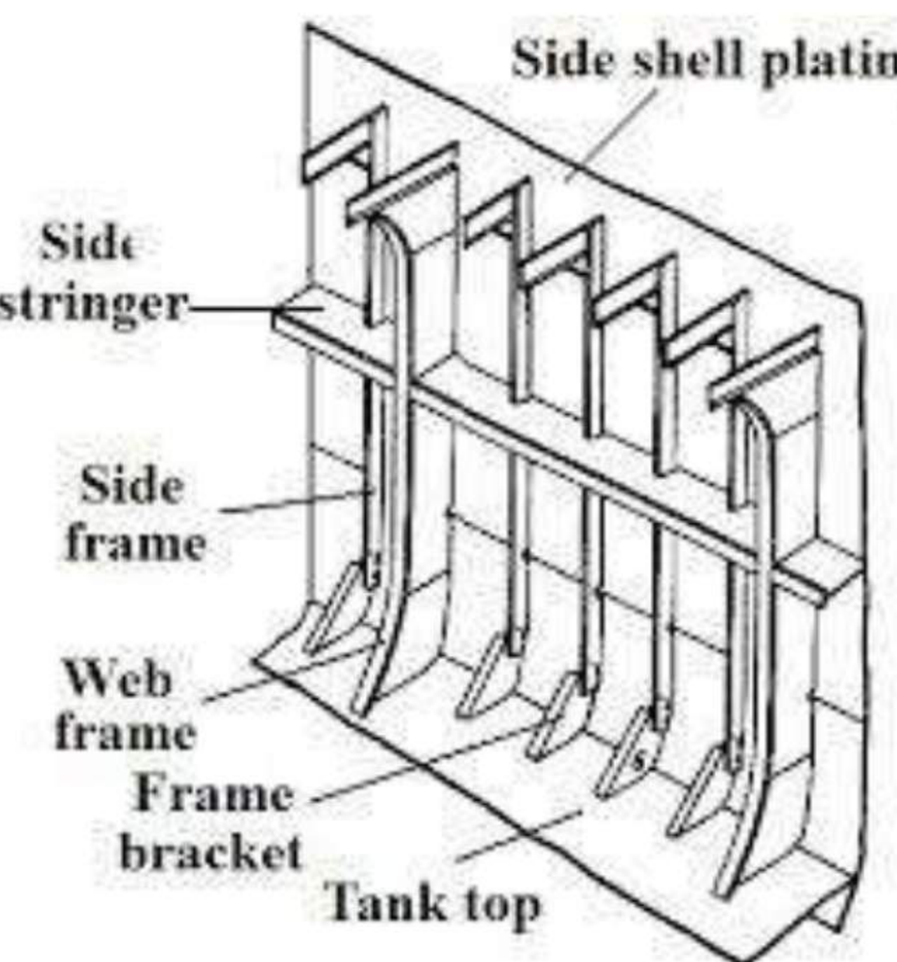 Side shell plating with side stringer, side frame, web frame, frame bracket and tank top