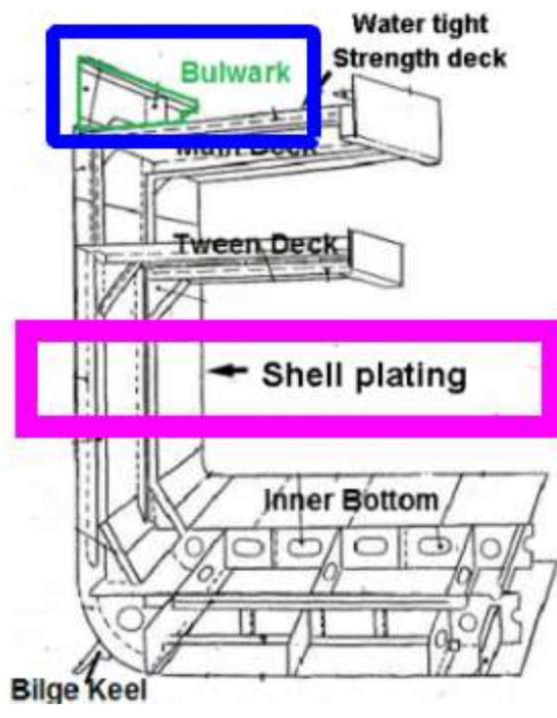 Bulwark section against the strength deck, inner bottom and bilge keel