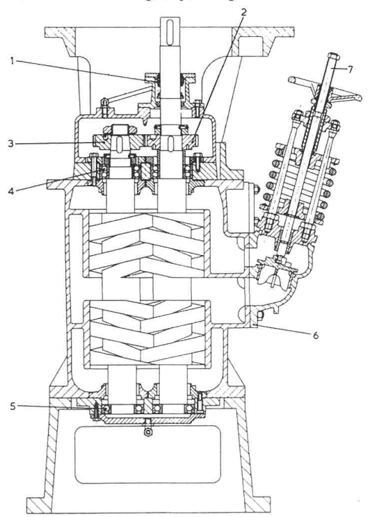A two-screw displacement pump