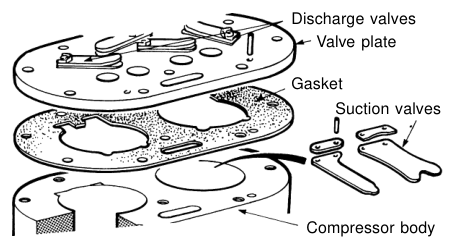 Reed valves on a valve plate