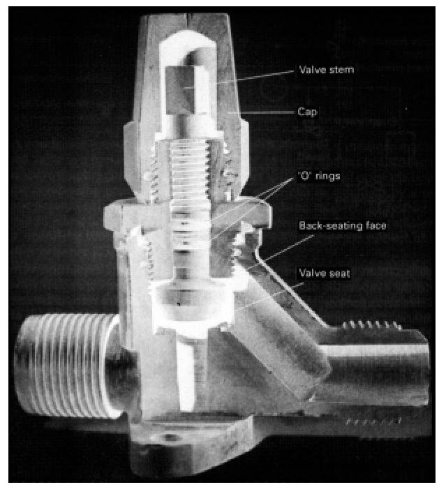 Seal cap shut-off valve